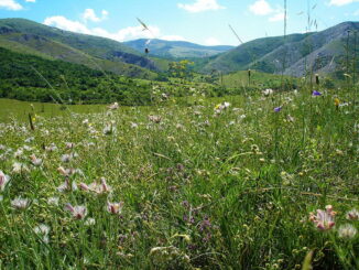 Плато Чатыр-Даг - в Крым в мае стоит поехать на отдых?