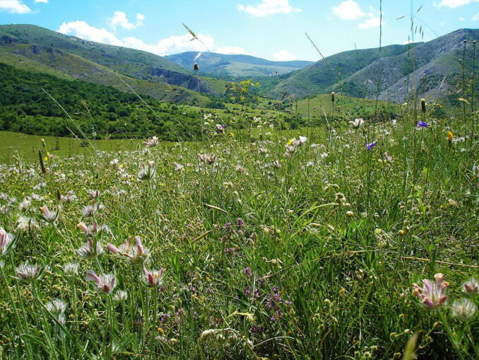 Плато Чатыр-Даг - в Крым в мае стоит поехать на отдых?