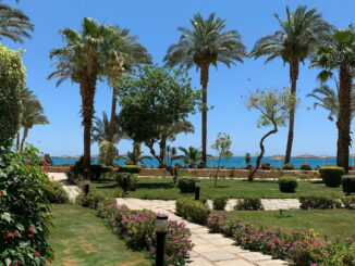 В мае в Египет стоит ехать на пляжный отдых