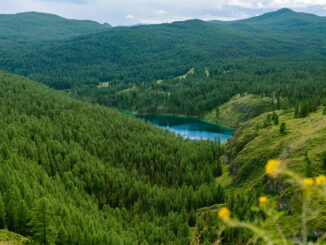 Алтай - сюда стоит поехать в России в июне