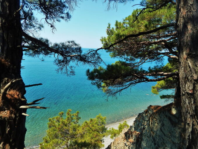 В Дивноморском в Краснодарском крае можно хорошо отдохнуть на море