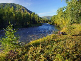 Горный Алтай - сюда в России можно поехать летом!