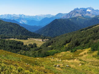 Близ Гагры - в Абхазию в июне стоит ехать отдыхать на море и на экскурсии!