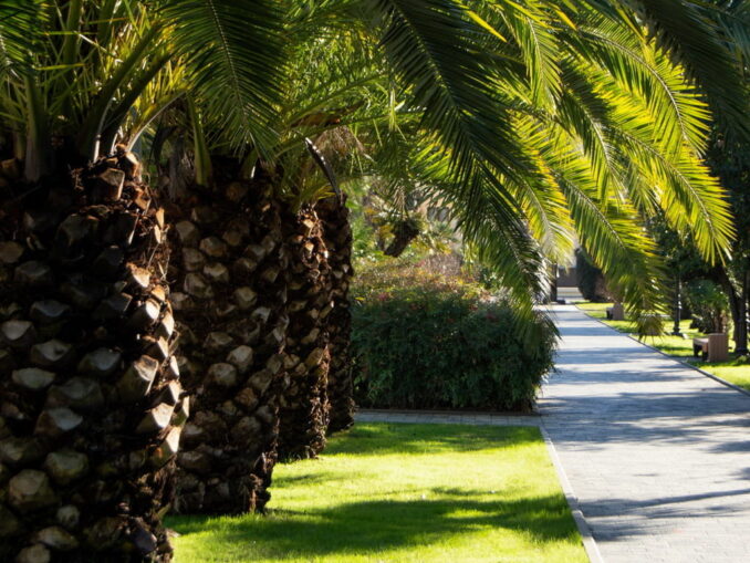 В Сочи летом может быть очень жарко