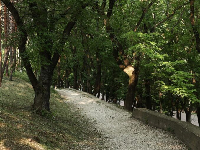 Парк в Ессентуках Парк в Ессентуках - в сентябре на курорте стоит теплая, не очень дождливая погода