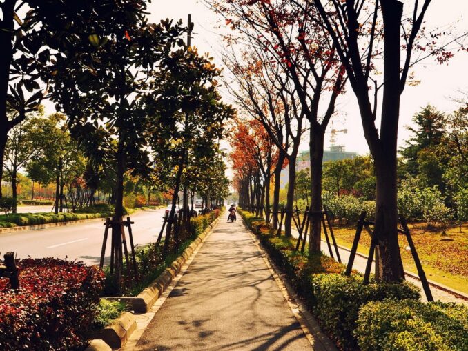 Осень - лучшее время для поездки в Шанхай