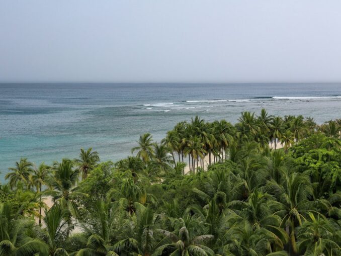 Sea and palm trees - you may not be able to swim in Hainan in February