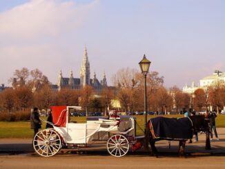В Вену в марте стоит ехать на экскурсии
