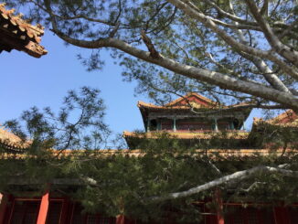 В Пекин в апреле определенно нужно ехать на экскурсии