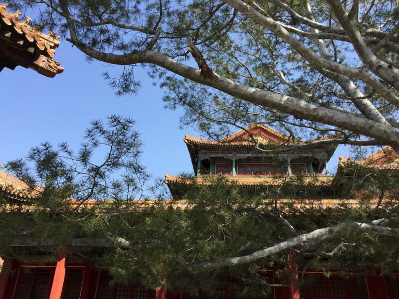 В Пекин в апреле определенно нужно ехать на экскурсии