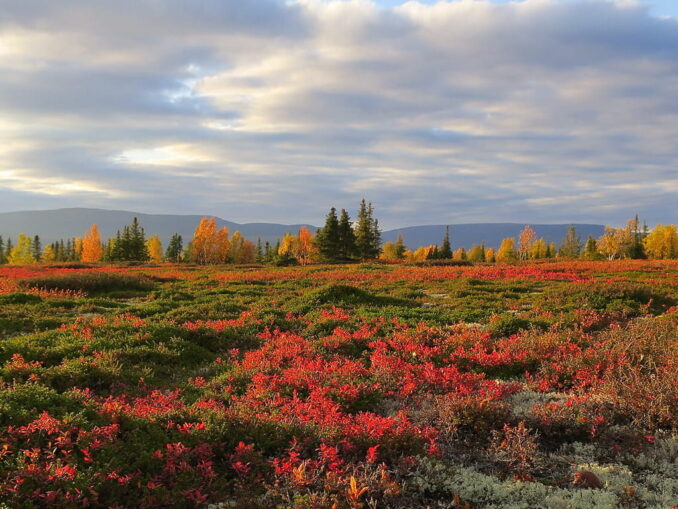 Ловозеро - ехать отдыхать в Мурманск лучше всего в сентябре