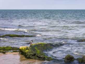 Пляж в Махачкале,