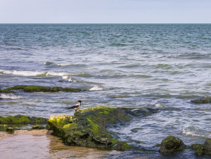 Пляж в Махачкале,