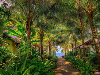 Тропический рай - в Нячанг в июне стоит ехать на пляжный отдых!